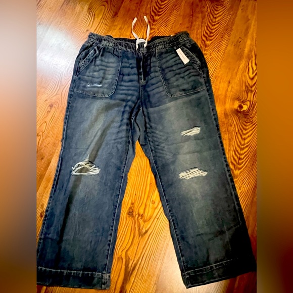 COPY - *Lane Bryant Jeans - Picture 1 of 2